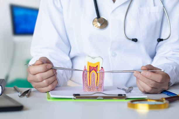 Best Broken Tooth Emergency  in Papillion, NE